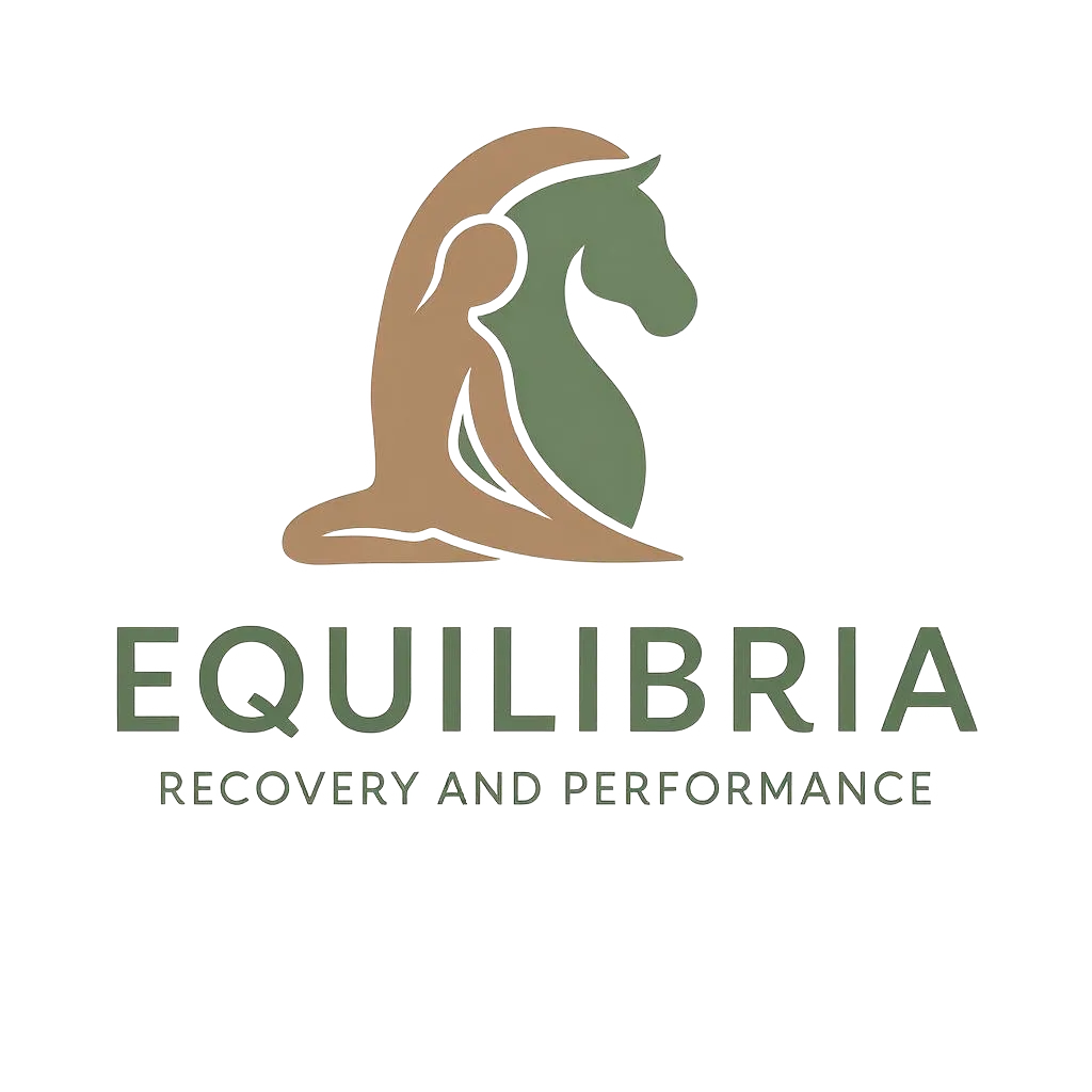 Equilibria Recovery & Performance